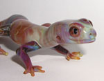Gecko