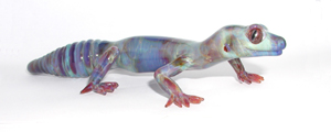 Gecko