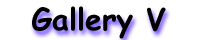 GECKOS ~ Gallery 5